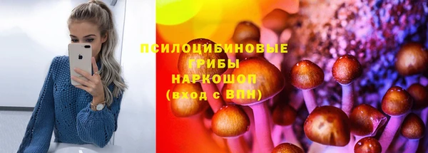 PSILOCYBIN Лабытнанги