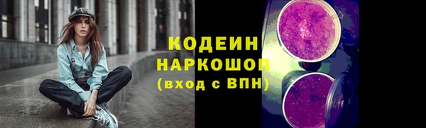 амф Ладушкин