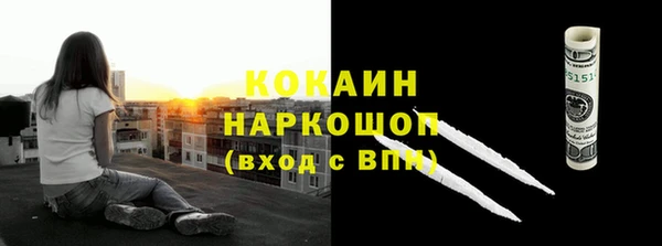 амф Ладушкин