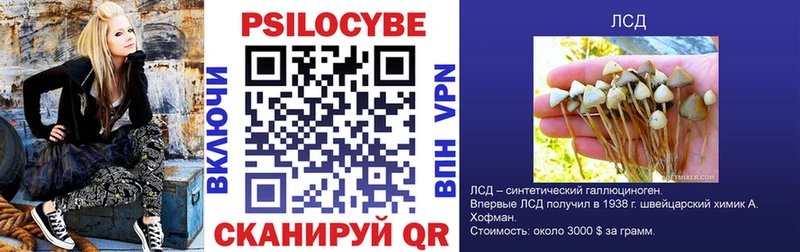 блэк спрут как зайти  Углич  Галлюциногенные грибы Cubensis 
