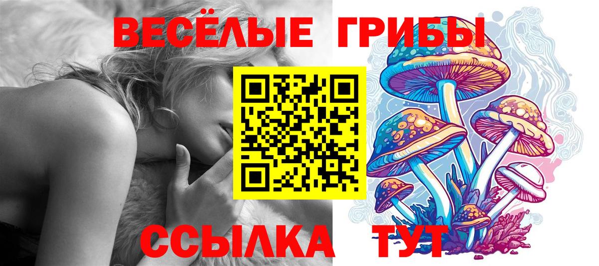 Галлюциногенные грибы Cubensis Углич