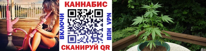Каннабис Ganja Углич
